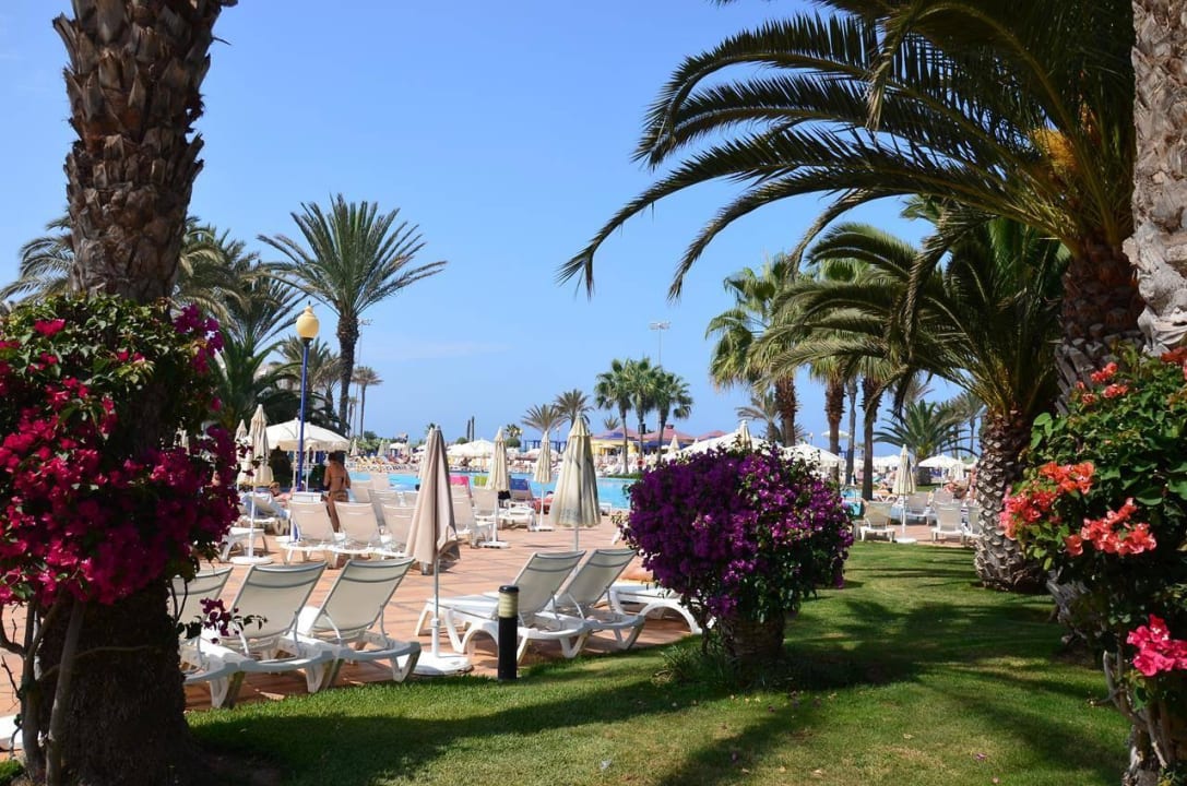 Ogrody Iberostar Waves Founty Beach