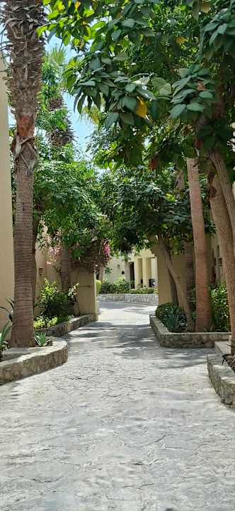 Gartenanlage The Cove Rotana Resort