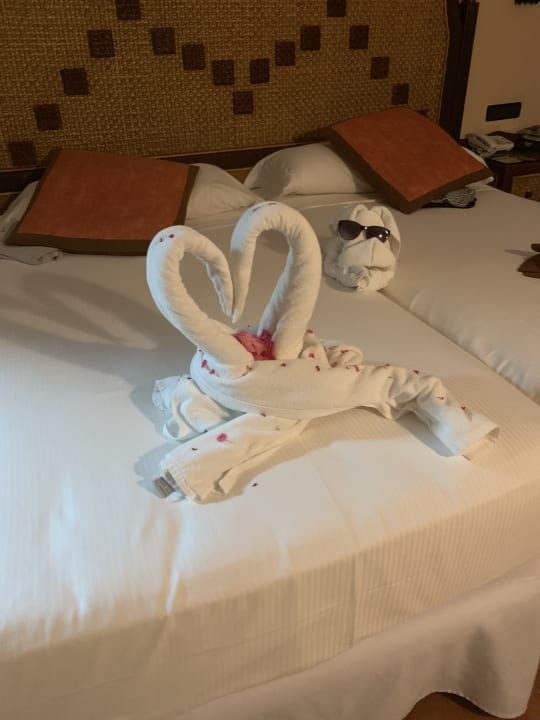 Zimmer Hotel Riu Touareg