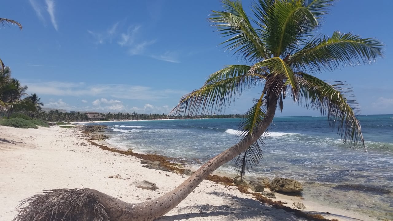Strand Akumal Bay Beach & Wellness Resort