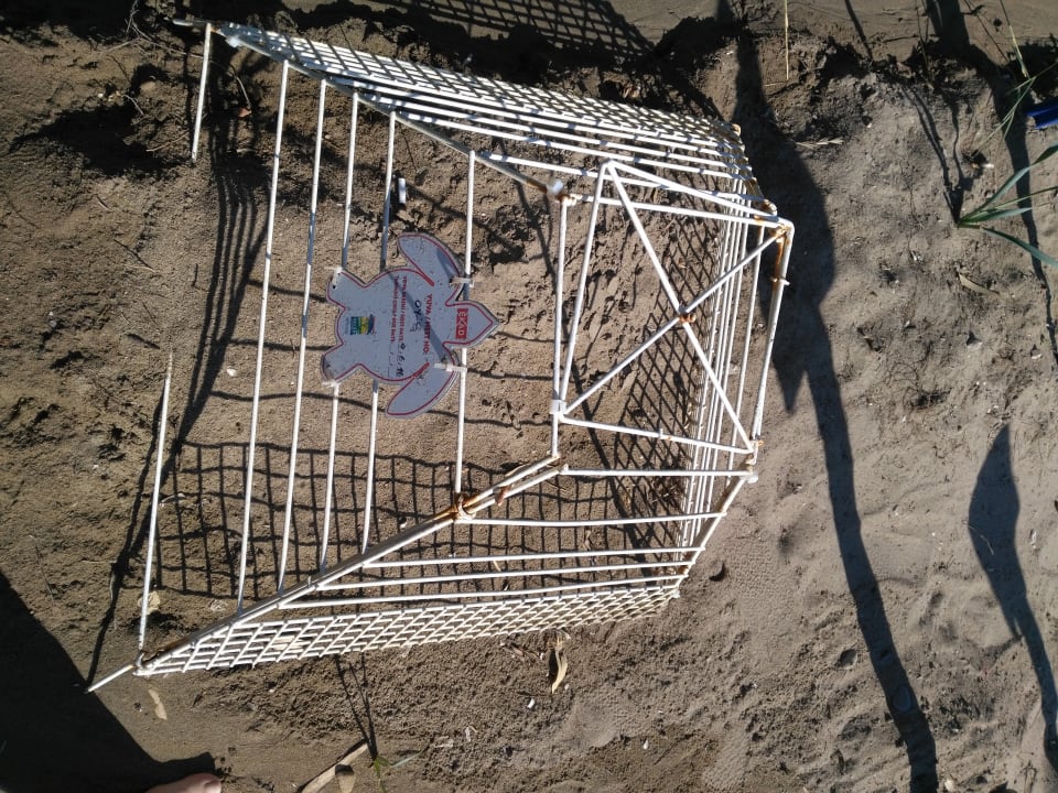 Strand Belconti Resort Hotel