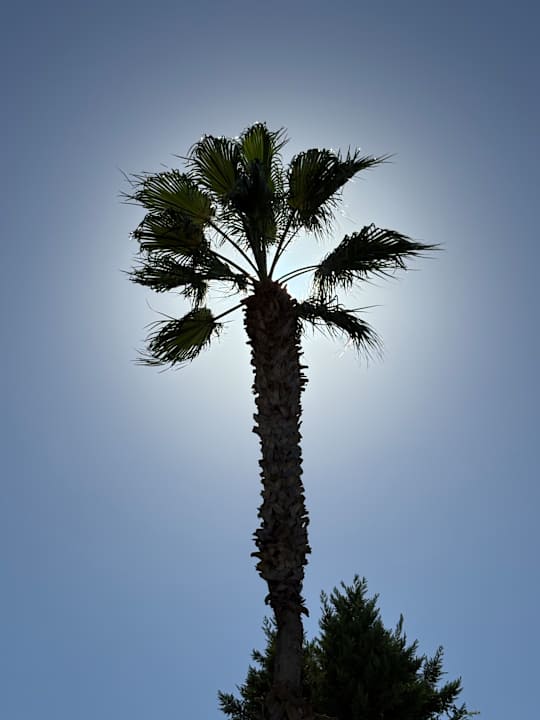 Gartenanlage Hotel Sidekum