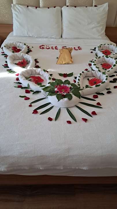 Zimmer Oz Hotels Incekum Beach