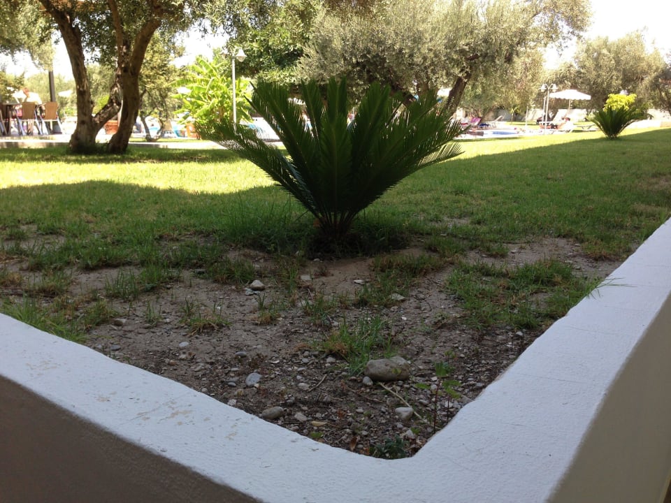 Schandfleck 3 von Vielen Marianna Palace Hotel