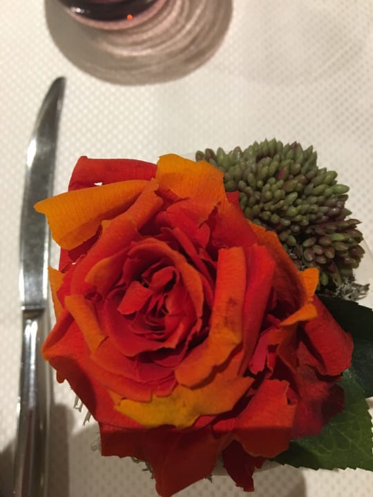 Sonstiges Hotel Kristal Palace - TonelliHotels