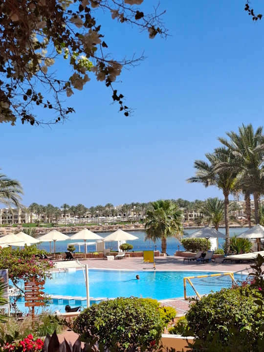 Pool Steigenberger Coraya Beach - Adults only