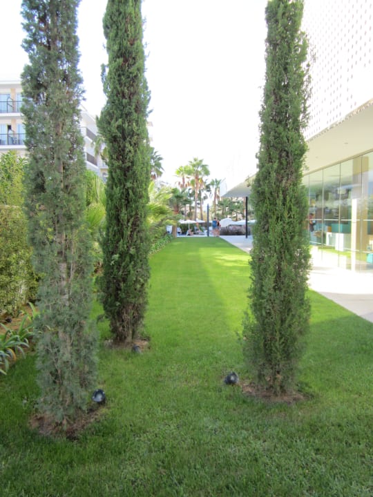 Blick von der Strasse Richtung Hotelanlage JS Palma Stay