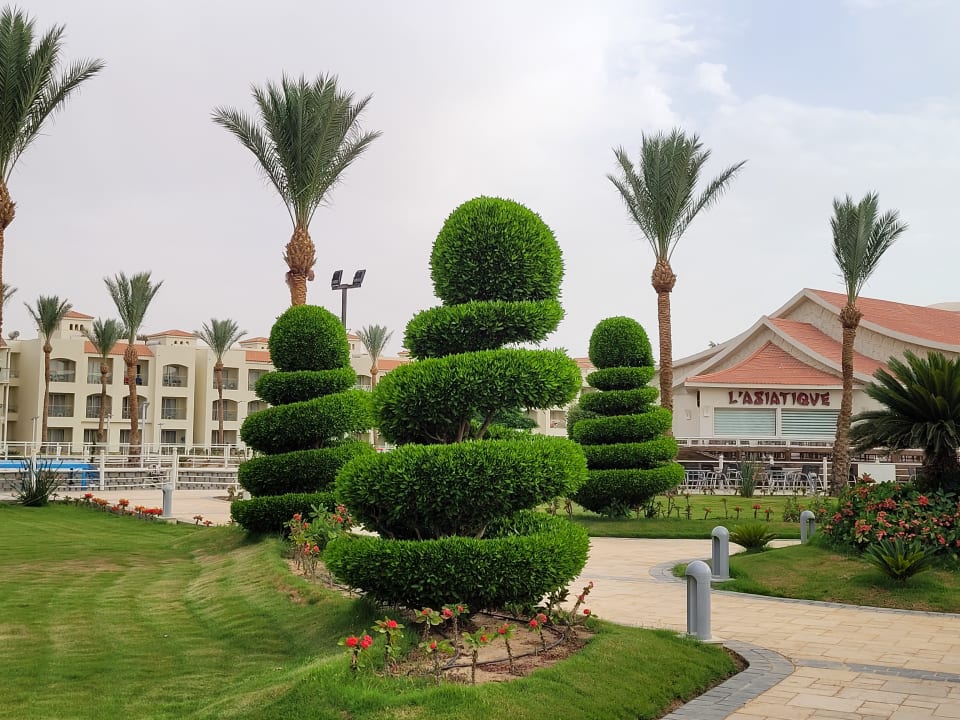 Gartenanlage Pickalbatros Dana Beach Resort - Hurghada