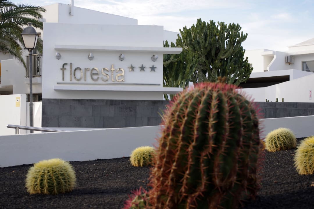 Przed głównym wejściem do hotelu Hotel Floresta