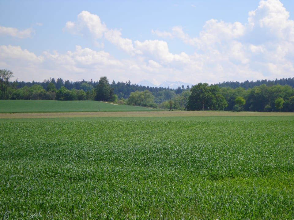 Ausblick Huberhof
