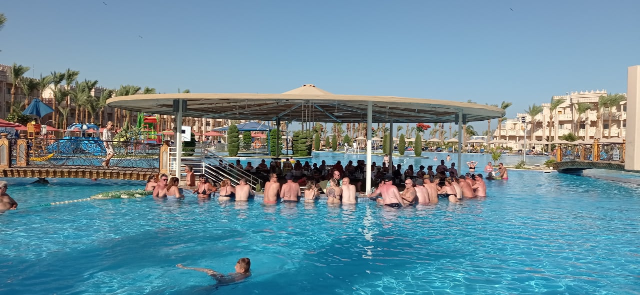 Pool Pickalbatros Palace Resort