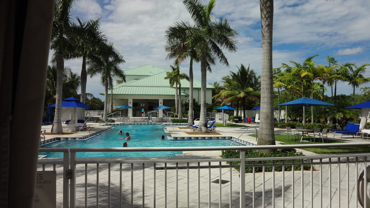 Toller Pool Provident Doral At The Blue