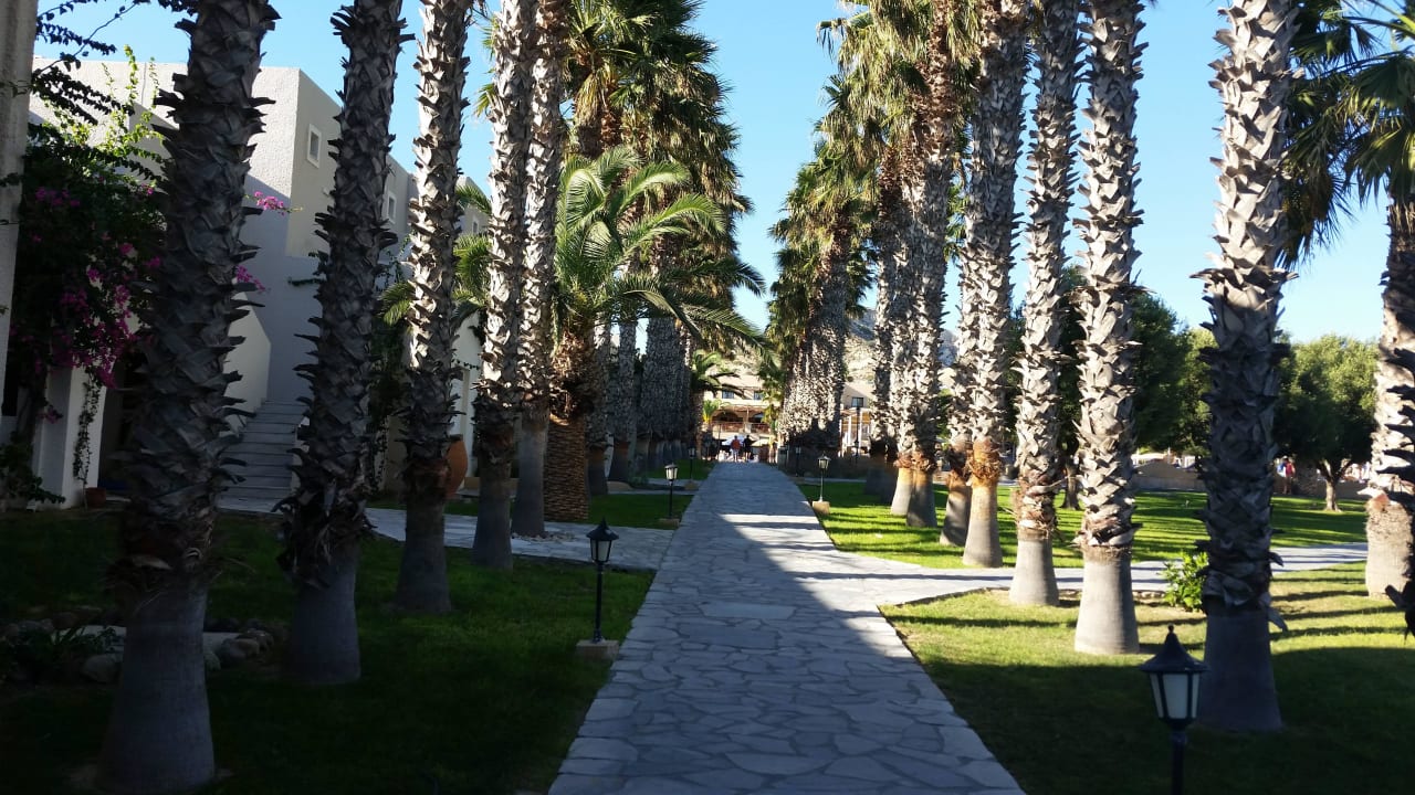 Palmenweg vom Strand zum Hotel Porto Bello Beach