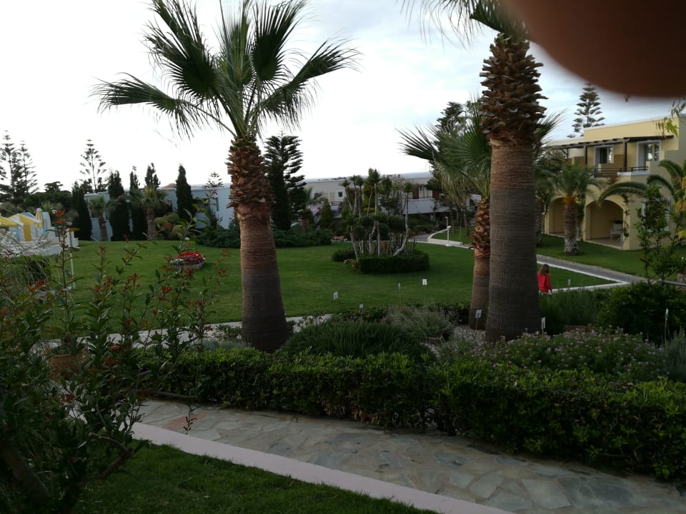 Zimmer Iberostar Selection Creta Marine