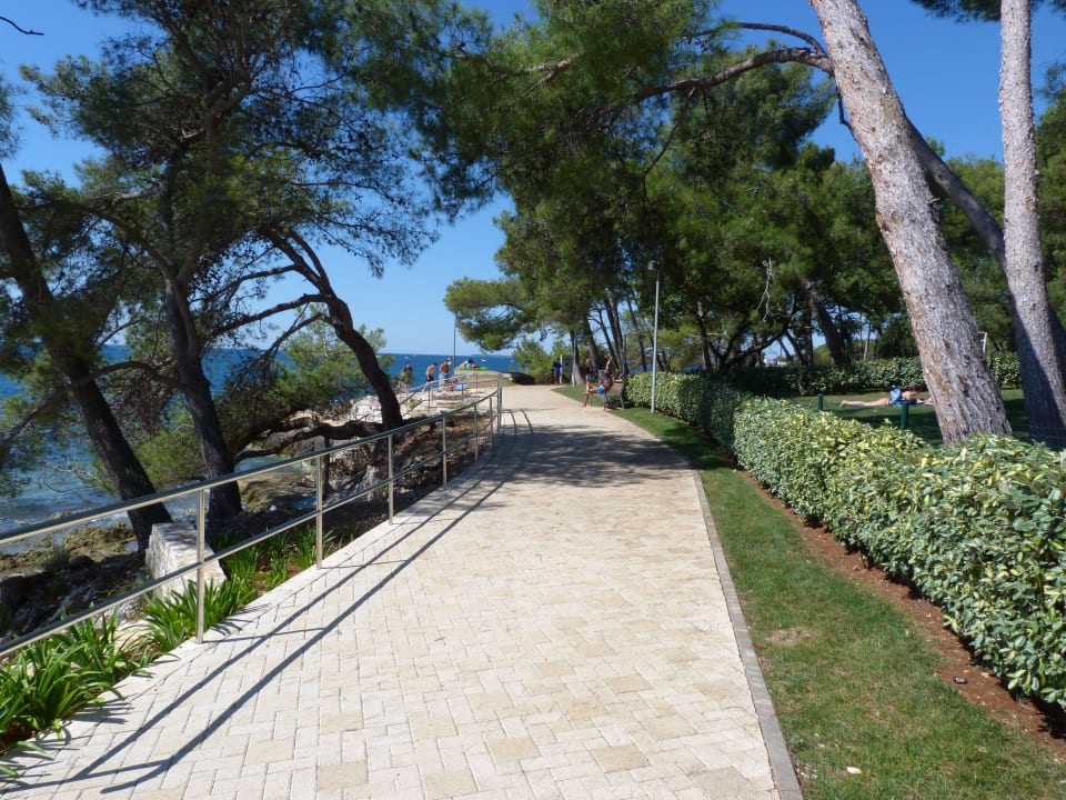 Gehweg ums Hotel Hotel Parentium Plava Laguna