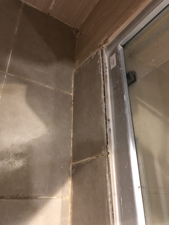 Zimmer Sirenis Tropical Varadero