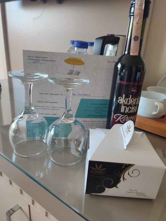 Zimmer Aydinbey Kings Palace & Spa