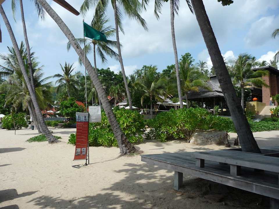 Strand mit Blick auf das Hotel New Star Beach Resort