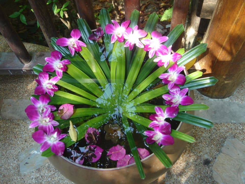 Am Eingang zum Spa Santhiya Koh Phangan Resort & Spa