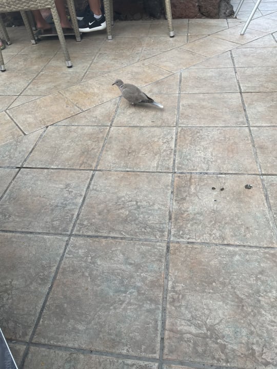 Sonstiges HL Miraflor Suites Hotel