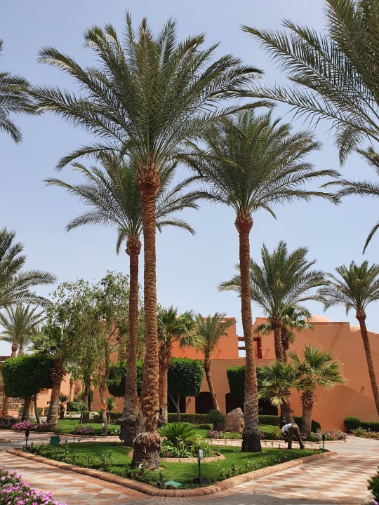 Gartenanlage Jaz Makadi Oasis Resort