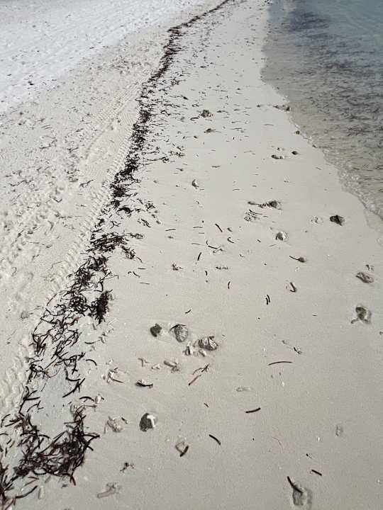 Strand Jawakara Islands Maldives