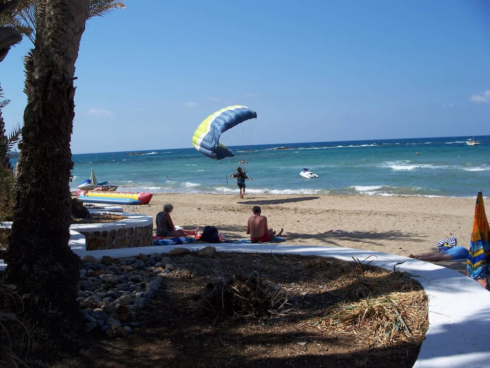 Strand nicht mit Liegestühlen "zugepflastert "  Zeus Hotels Palm Beach