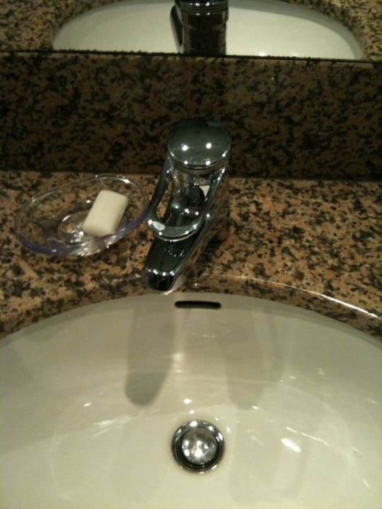 Loser Wasserhan Hilton Mainz