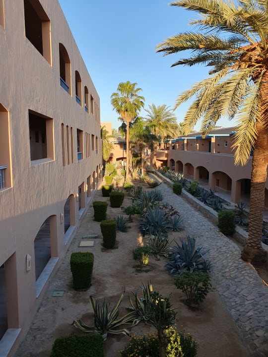 Gartenanlage Club Paradisio El Gouna, Red Sea