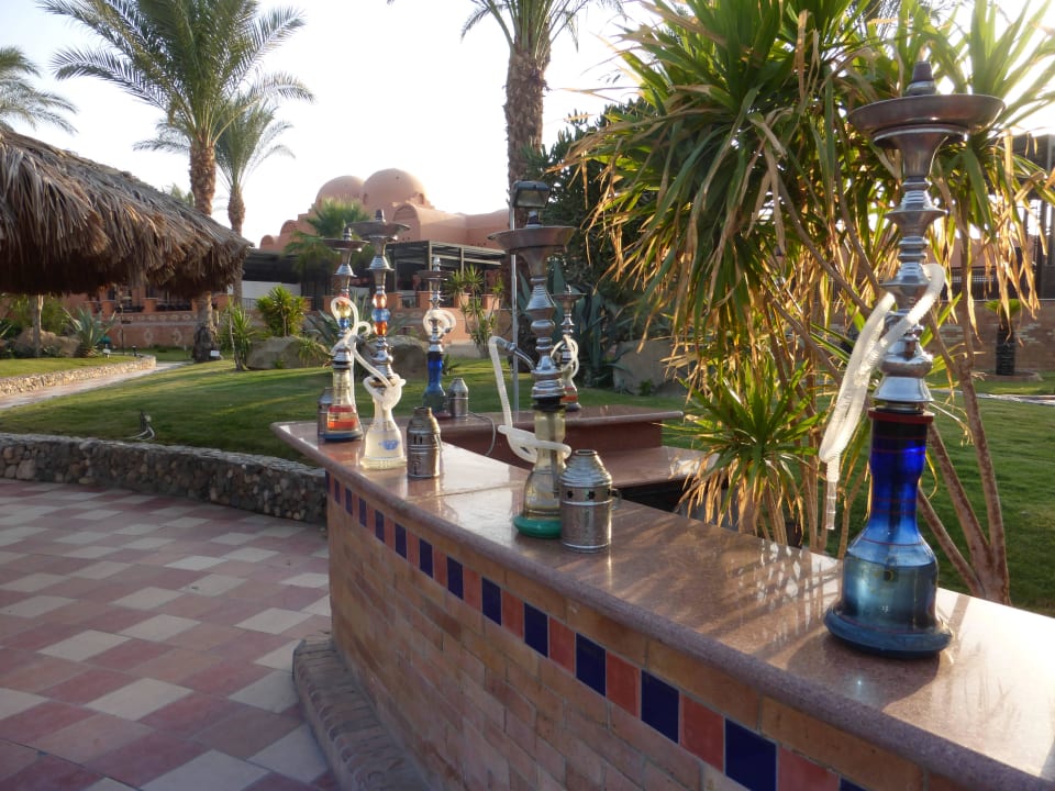 Shishas für den Abend Jaz Makadi Oasis Resort