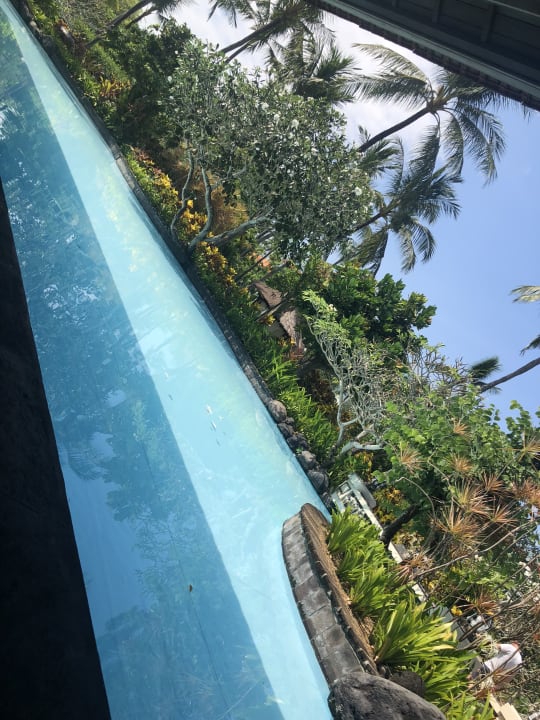 Gastro The Laguna A Luxury Collection Resort & Spa