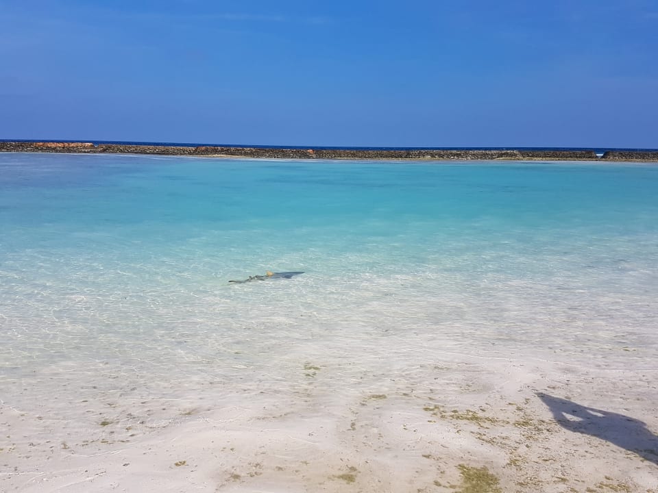 Strand Kuredu Island Resort & Spa