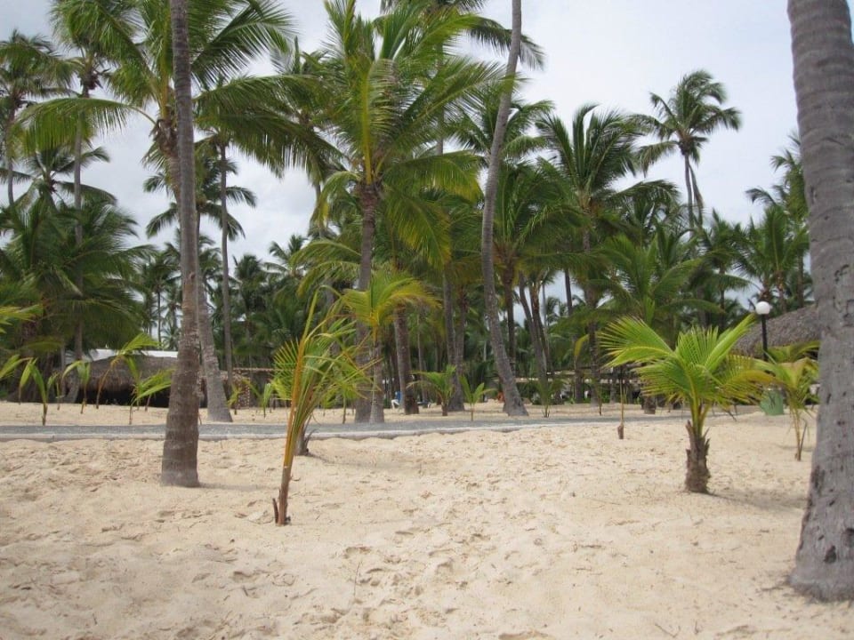  Strand Hotel Riu Bambu