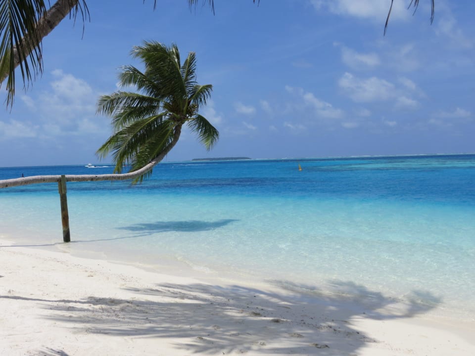Strand am Hauptpool Conrad Maldives Rangali Island