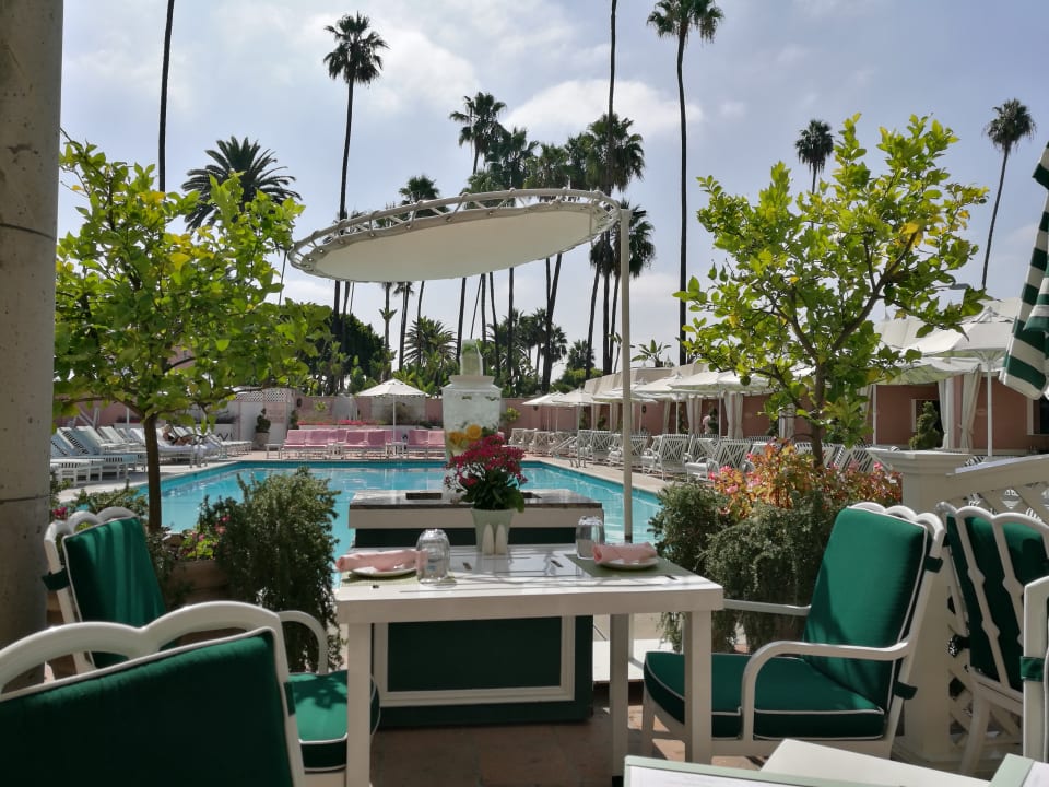 Pool Hotel The Beverly Hills