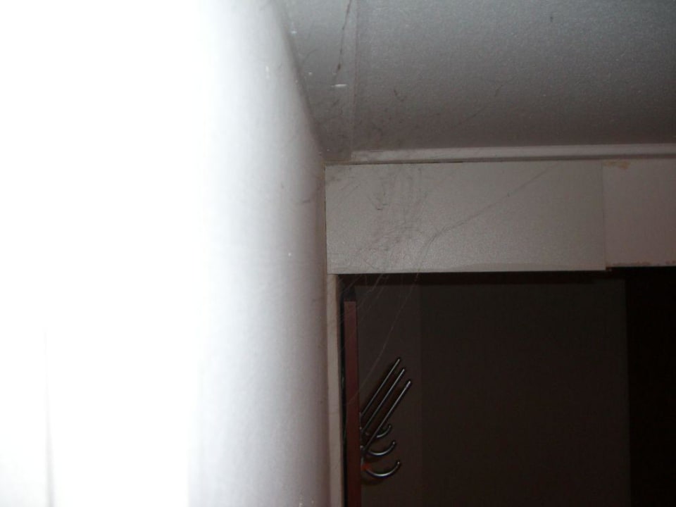 Spinnenweben an der Wand Max Brown Hotel Canal District, part of Sircle Collection