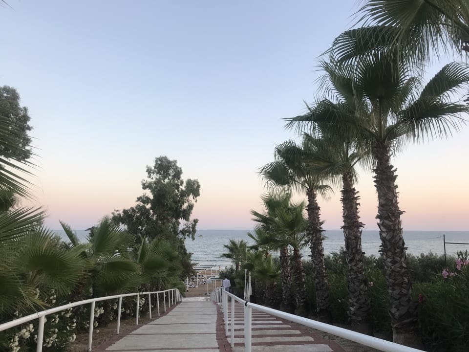 Außenansicht Alba Resort Hotel