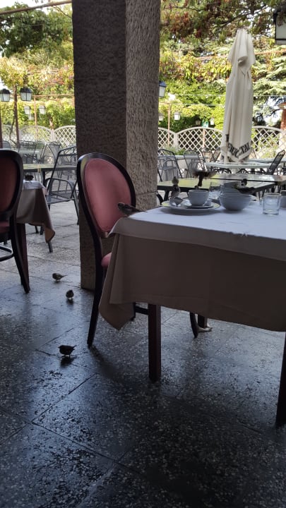 Gastro Adria Ankaran Resort - Appartements Adria