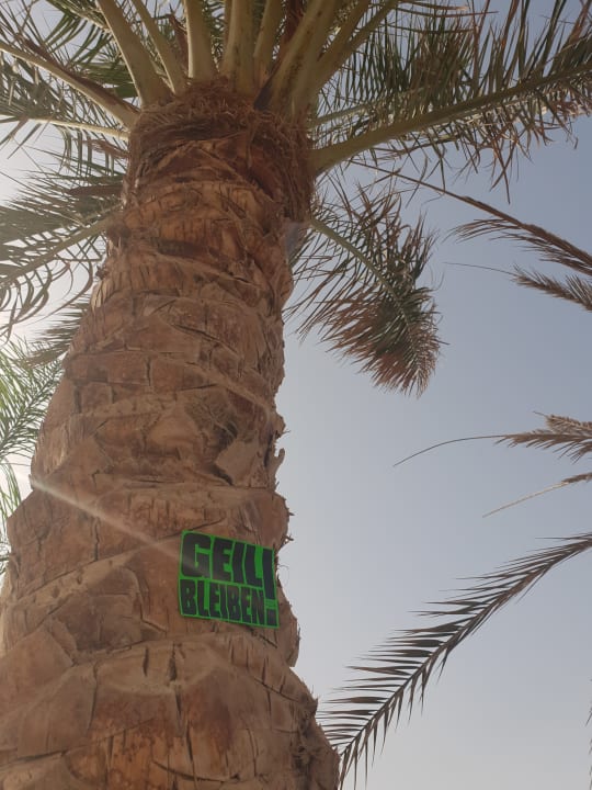 Ausblick Three Corners Sea Beach Resort