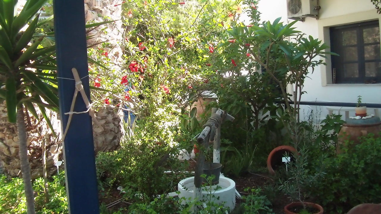 Garten Hotel big BLUE