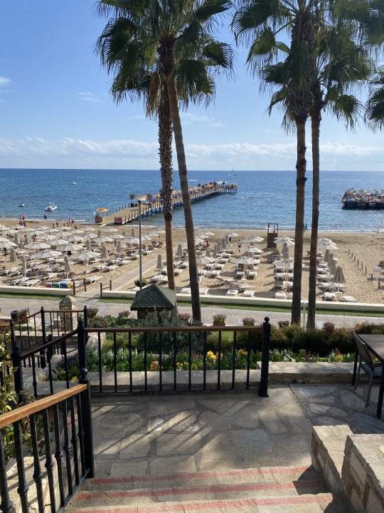 Ausblick Arum Barut Collection