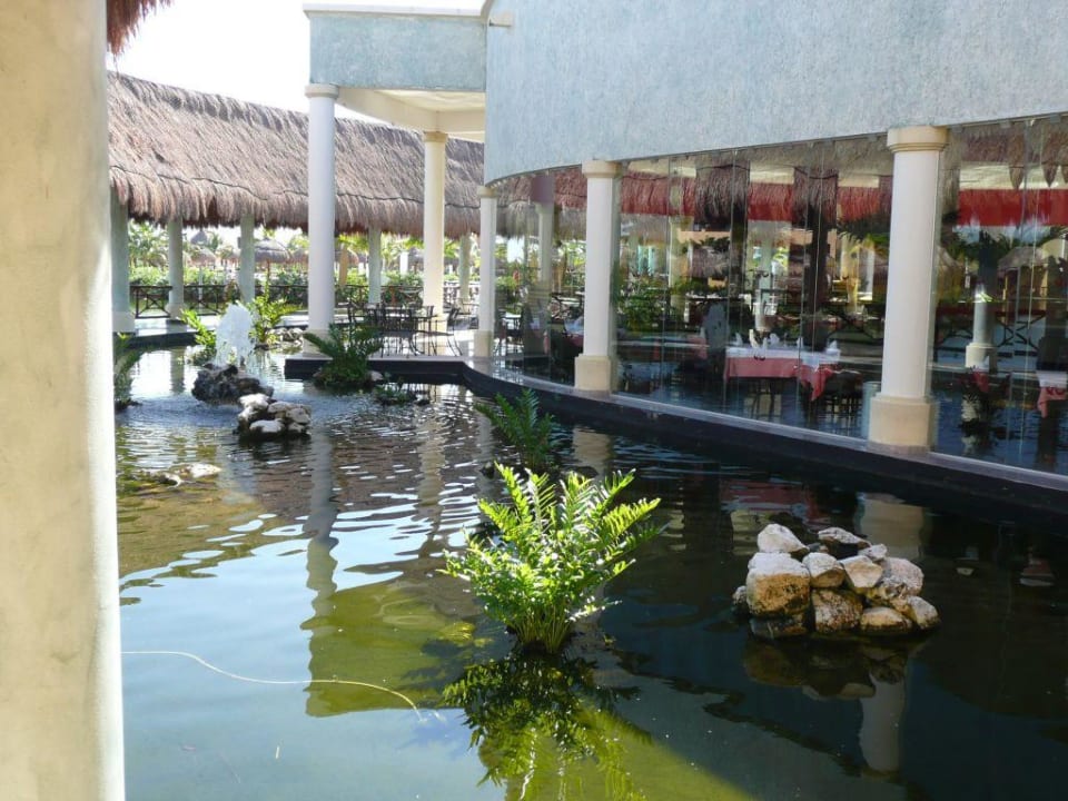 A la Carte Restaurant - Asiate Grand Palladium Select White Sand Resort & Spa