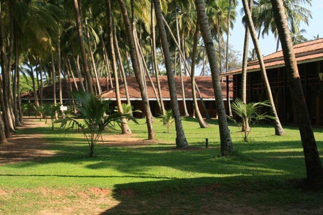 Palmenwald Hotel Club Bentota