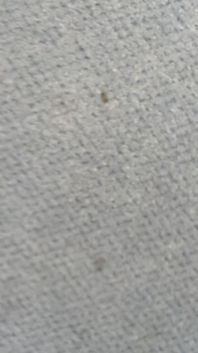 Fußboden SORAT Hotel Berlin