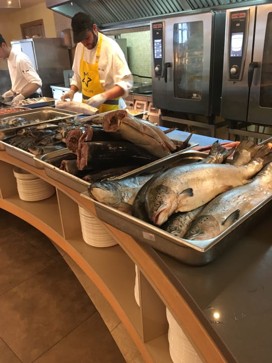 Gastro Atlantica Plimmiri