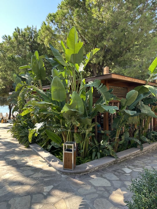 Gartenanlage Arum Barut Collection