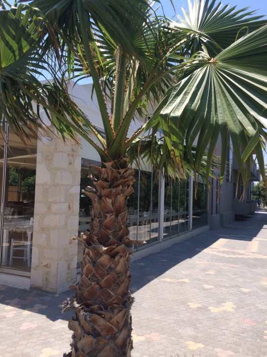Sonstiges Enorme Armonia Beach