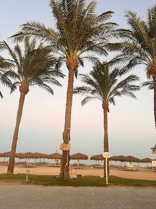 Strand Sentido Caribbean World Soma Bay