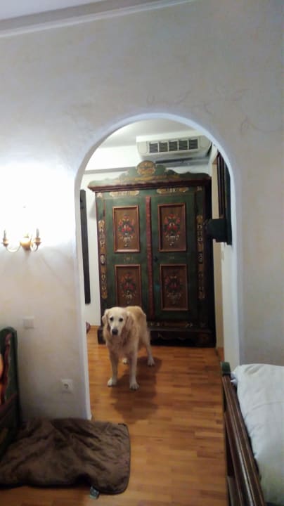 Zimmer Hotel Schwarzer Adler Innsbruck