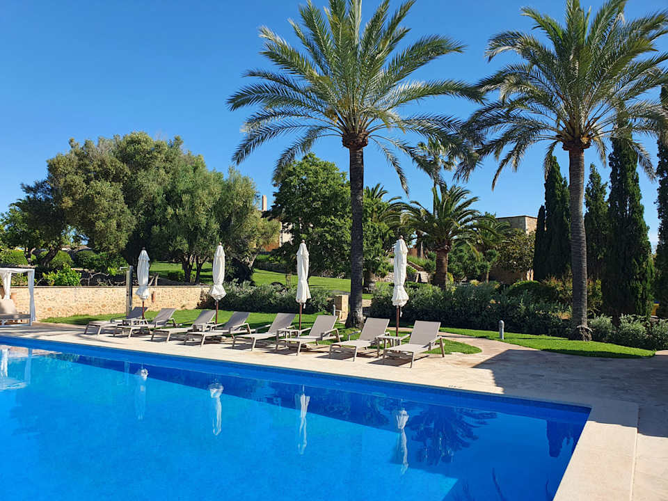 Pool Principal Son Amoixa